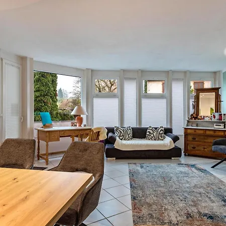 公寓 Fewo-gottmadingen