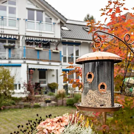 Fewo-gottmadingen Готтмадинген