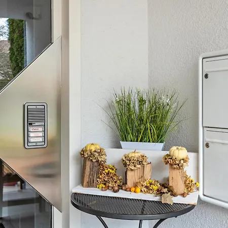 公寓 Fewo-gottmadingen 戈特马丁根